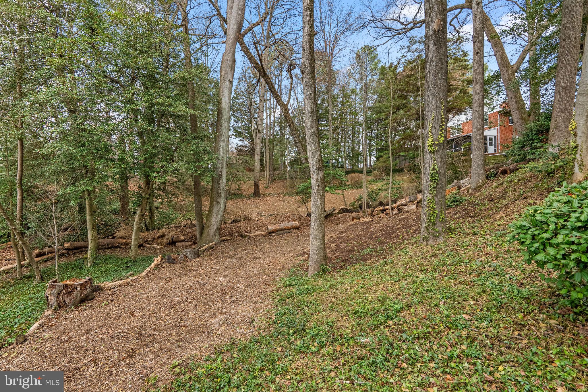 817 Dividing Road Severna Park, MD 21146 - Photo 46 of 57