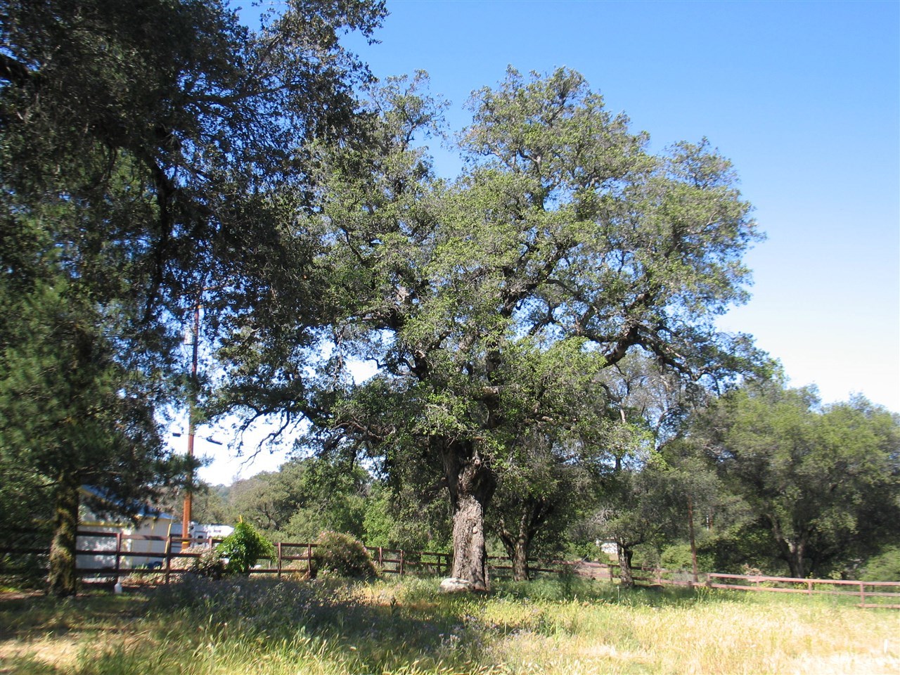 3040 Ritchie Road Santa Ysabel, CA 92070 - Photo 15 of 19