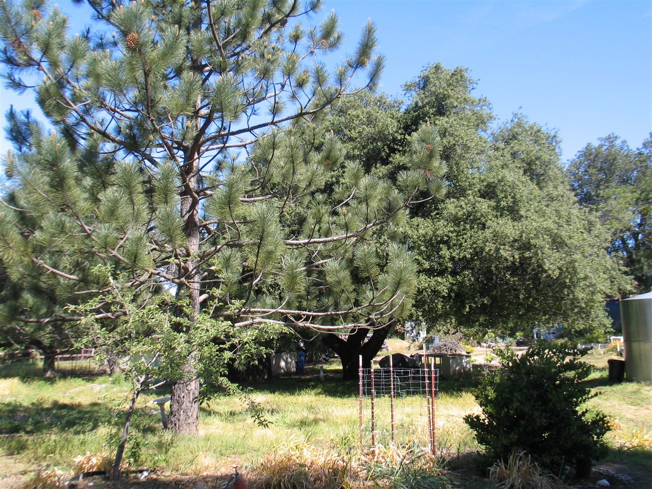 3040 Ritchie Road Santa Ysabel, CA 92070 - Photo 16 of 19