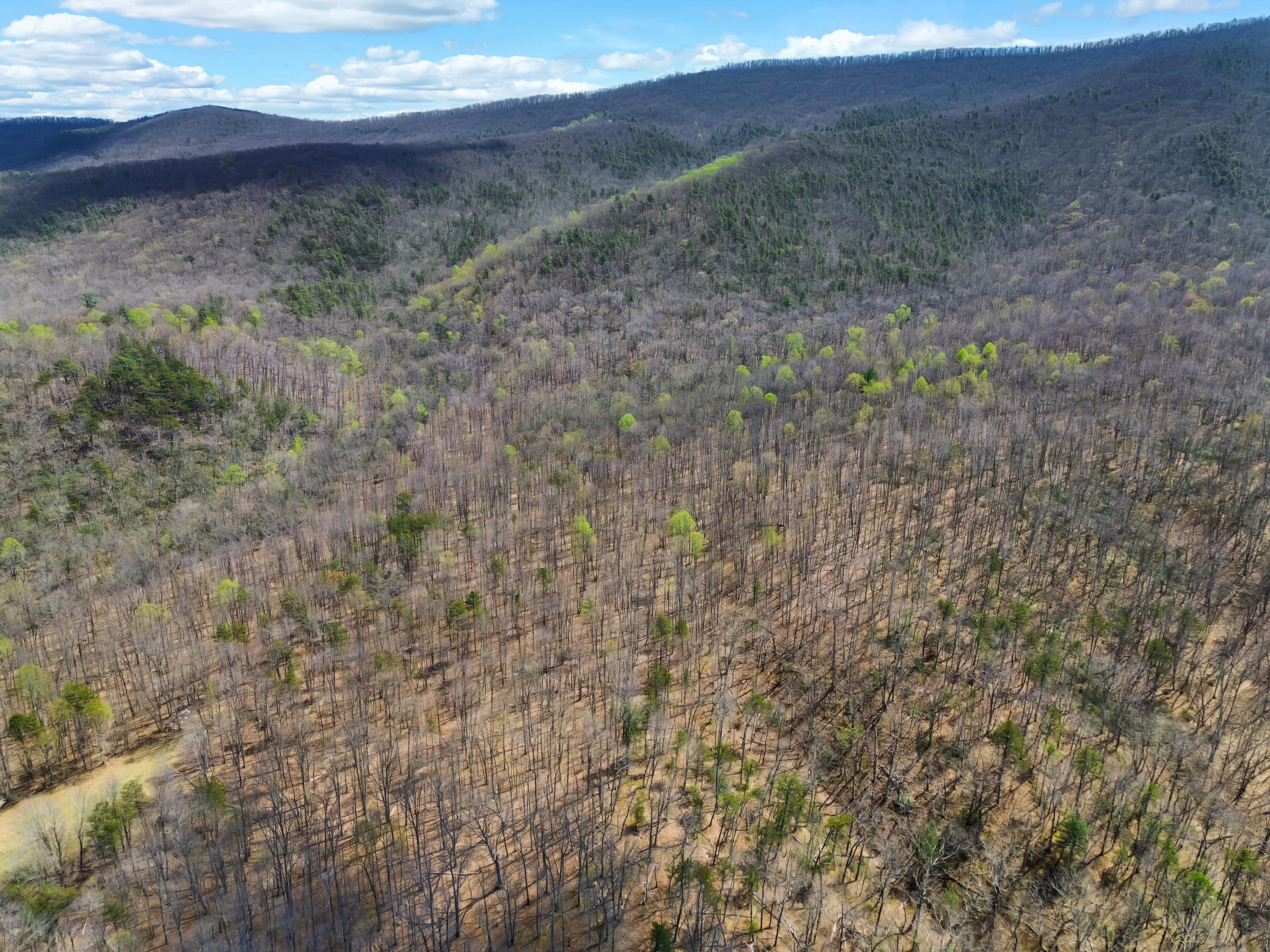 2816 Johns Creek Road New Castle, VA 24127 - Photo 33 of 96 DJI_0942