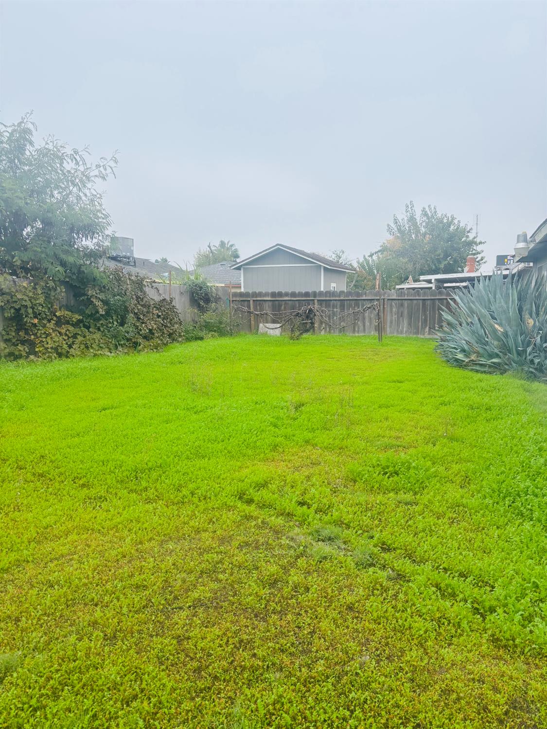 808 Ashlan Way Madera, CA 93638 - Photo 9 of 9