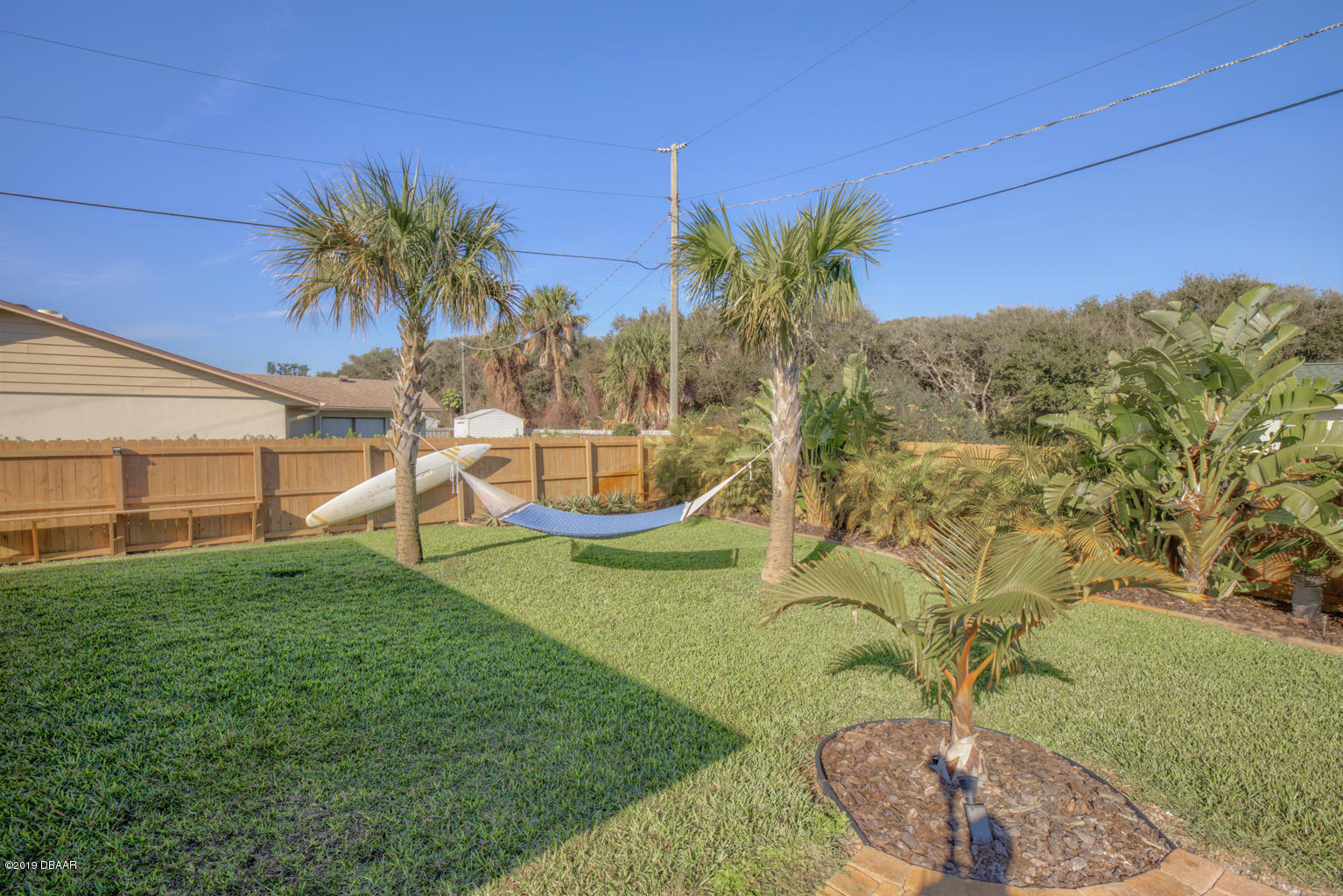 102 Marie Drive Ponce Inlet, FL 32127 - Photo 26 of 32 a view of a backyard with plants and a palm tree
