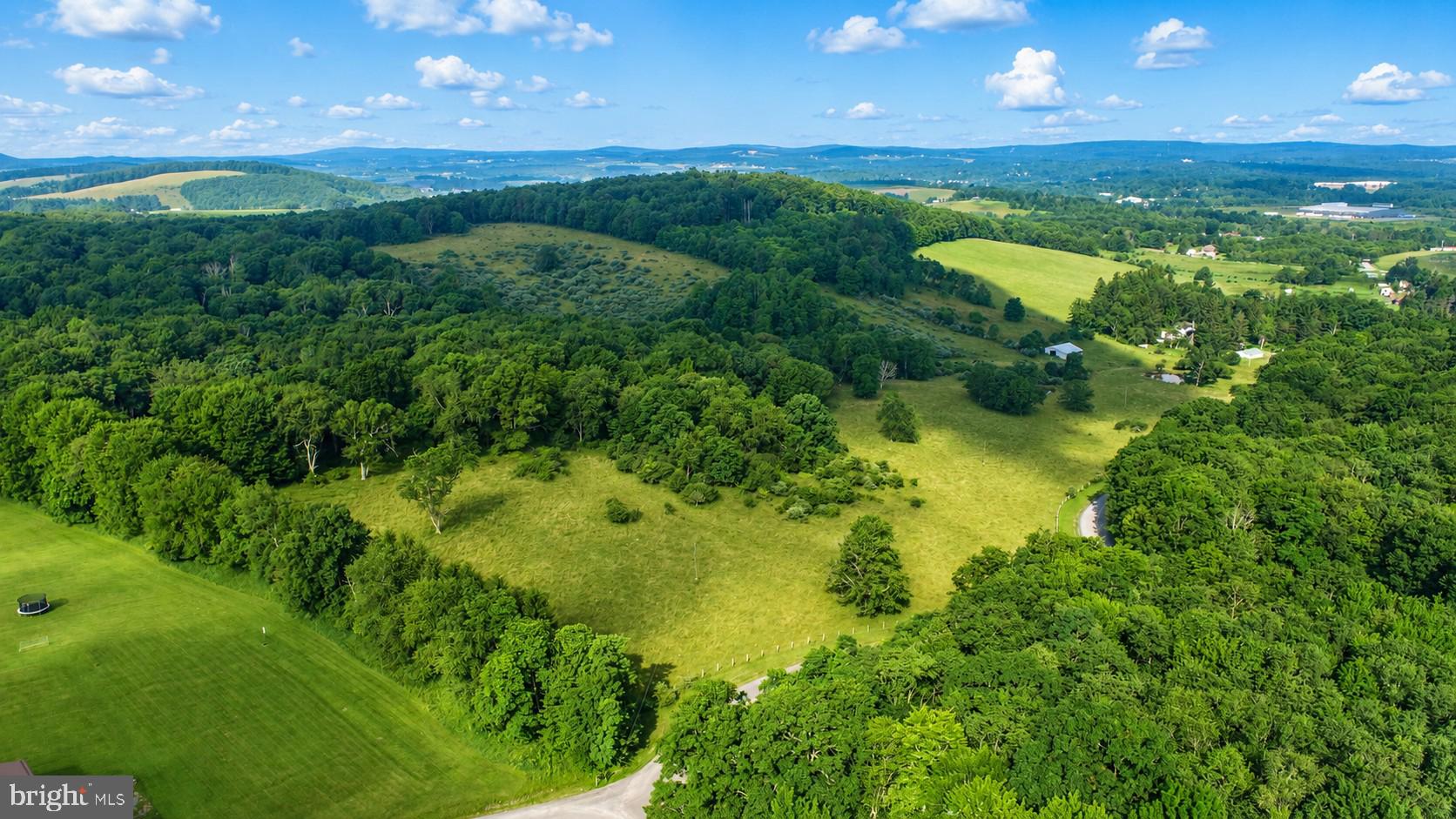 97-acres Lot C 97-acres Road Oakland, MD 21550 - Photo 10 of 21