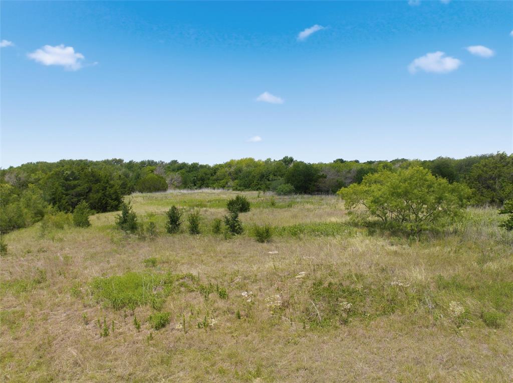 663 North Katy Road Elm Mott, TX 76640 - Photo 13 of 25 Sprawling undeveloped land featuring varied foliage and a clear horizon
