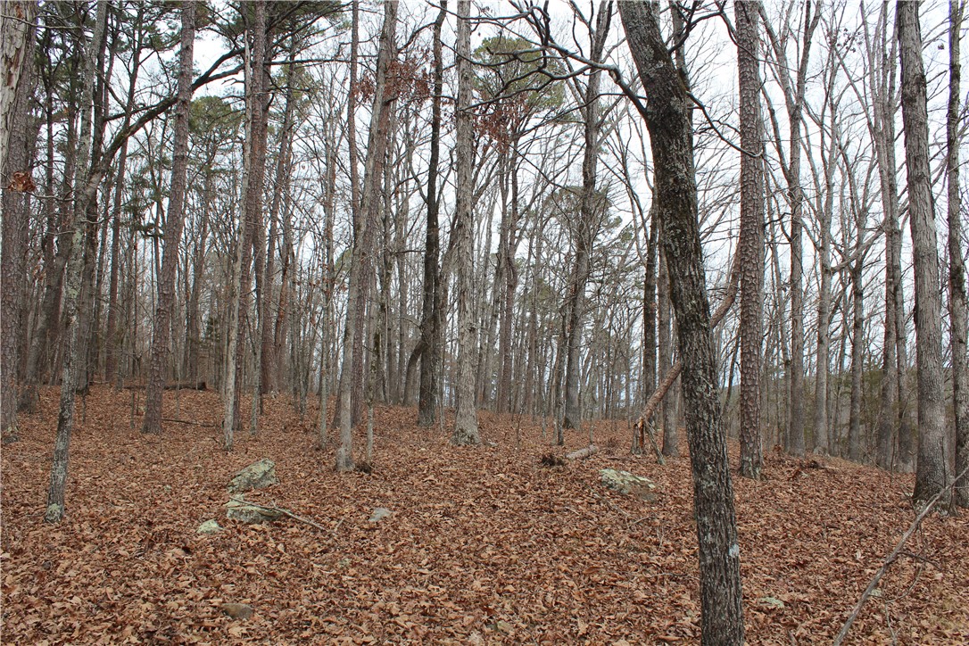 0 Old Brewer Road South Edgemont, AR 72044 - Photo 51 of 60 View of nature