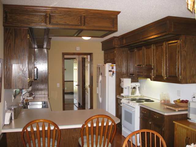 1247 Dog Bluff Road Galivants Ferry, SC 29544 - Photo 3 of 15