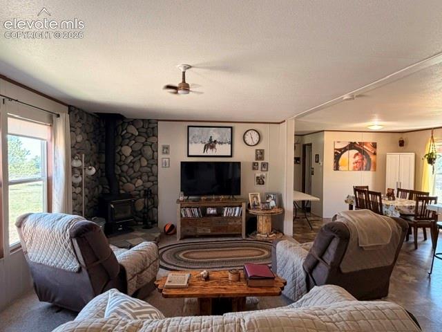 8084 Oak Drive Rye, CO 81069 - Photo 19 of 39