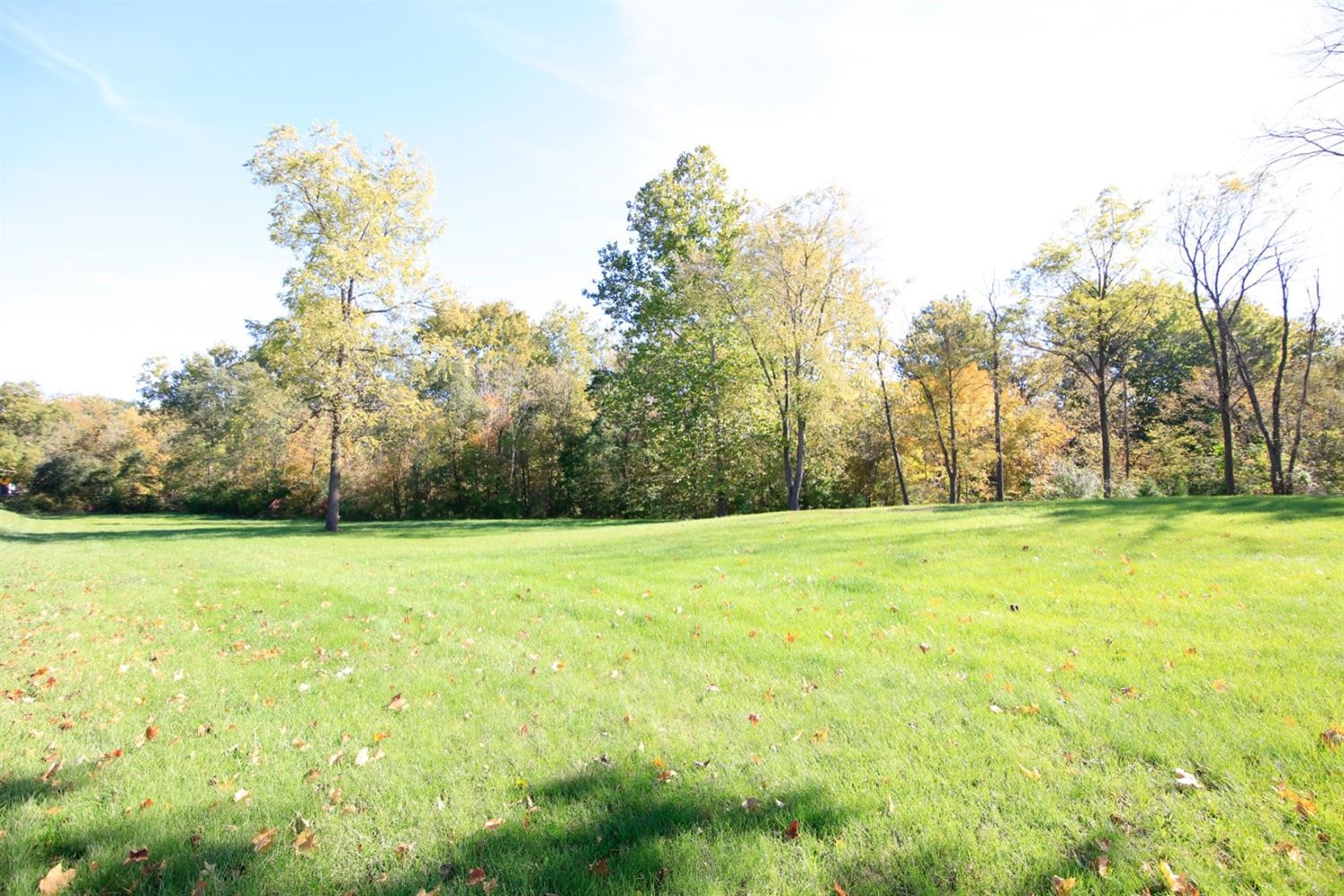 12895 Dennison Road Milan, MI 48160 - Photo 5 of 45 Photo 5