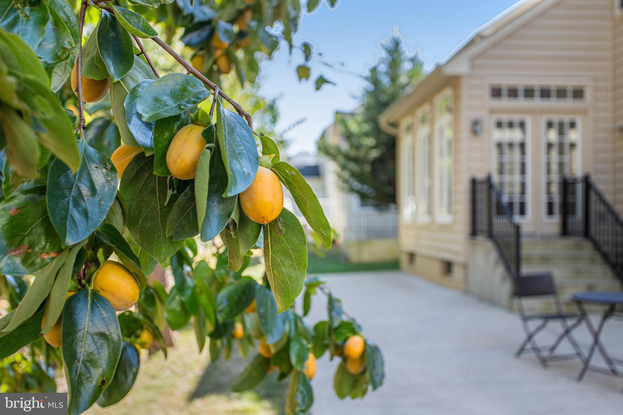 13107 English Turn Drive Silver Spring, MD 20904 - Photo 71 of 73