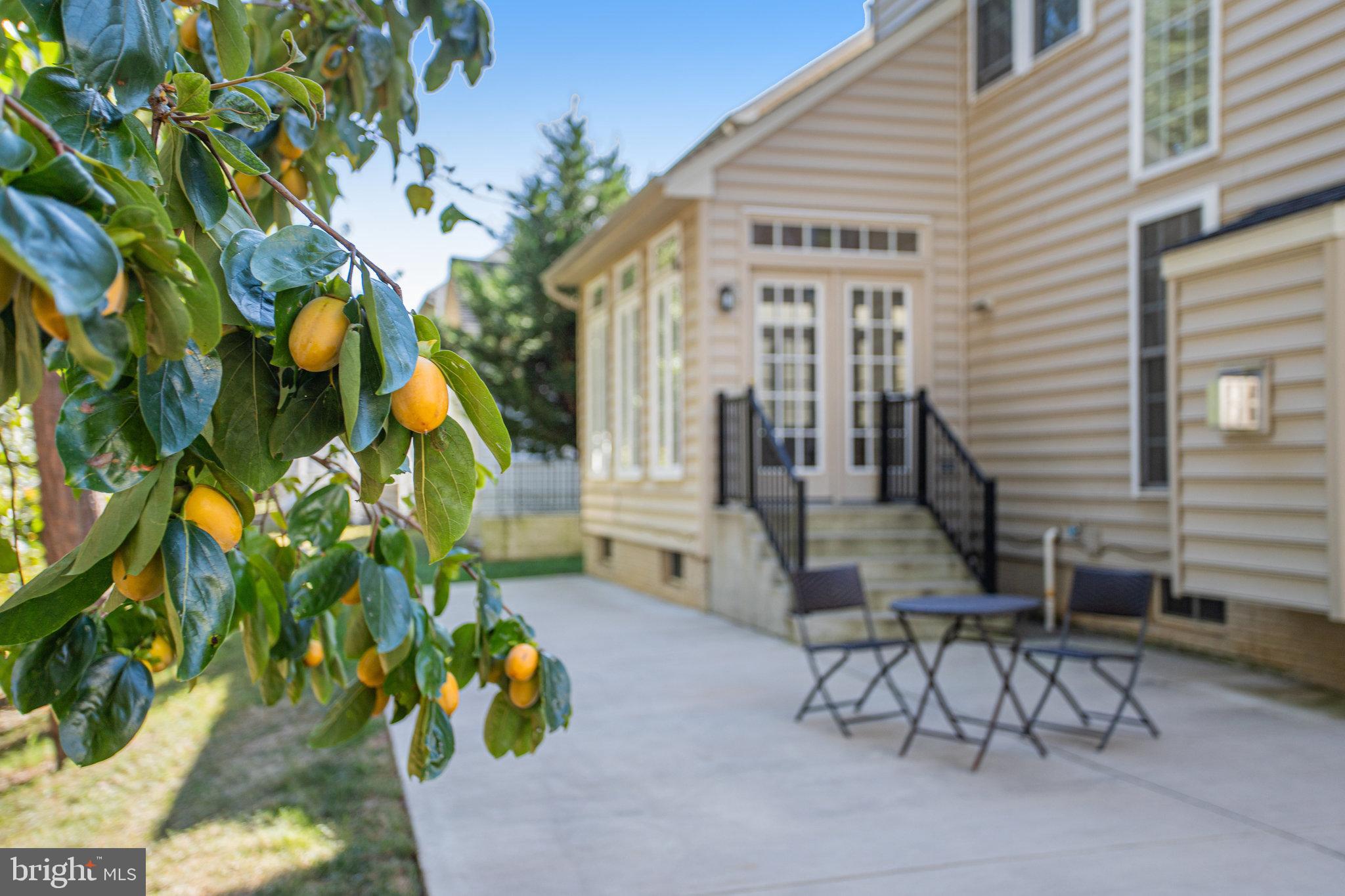 13107 English Turn Drive Silver Spring, MD 20904 - Photo 72 of 73