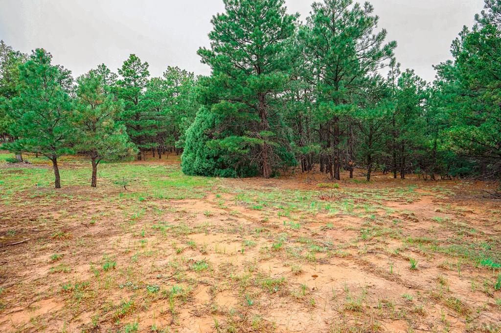 538 Rugby Mines Road Walsenburg, CO 81089 - Photo 9 of 70