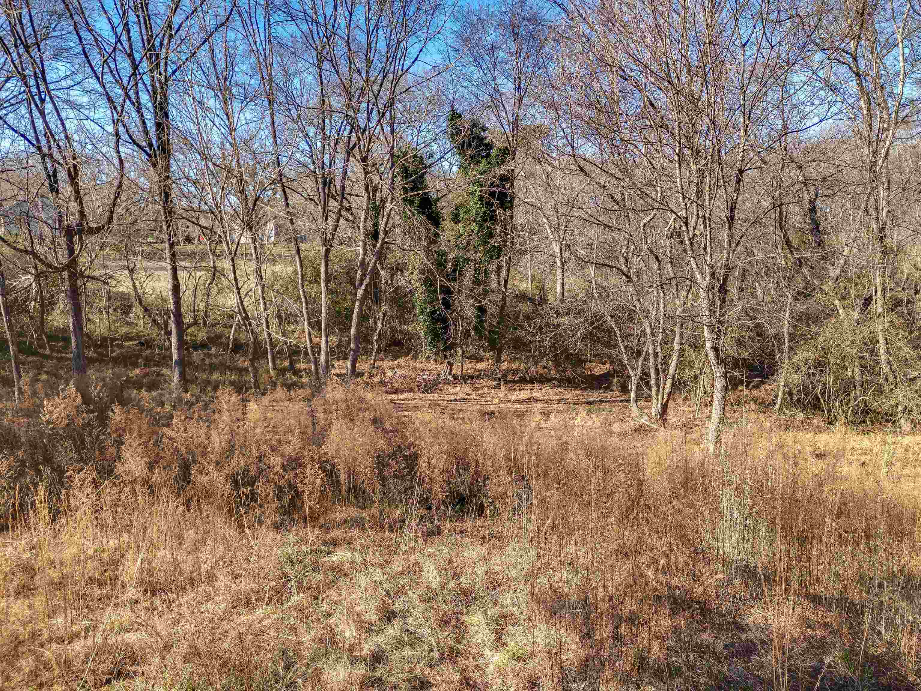 142 McGill Street Pacolet, SC 29372 - Photo 11 of 26