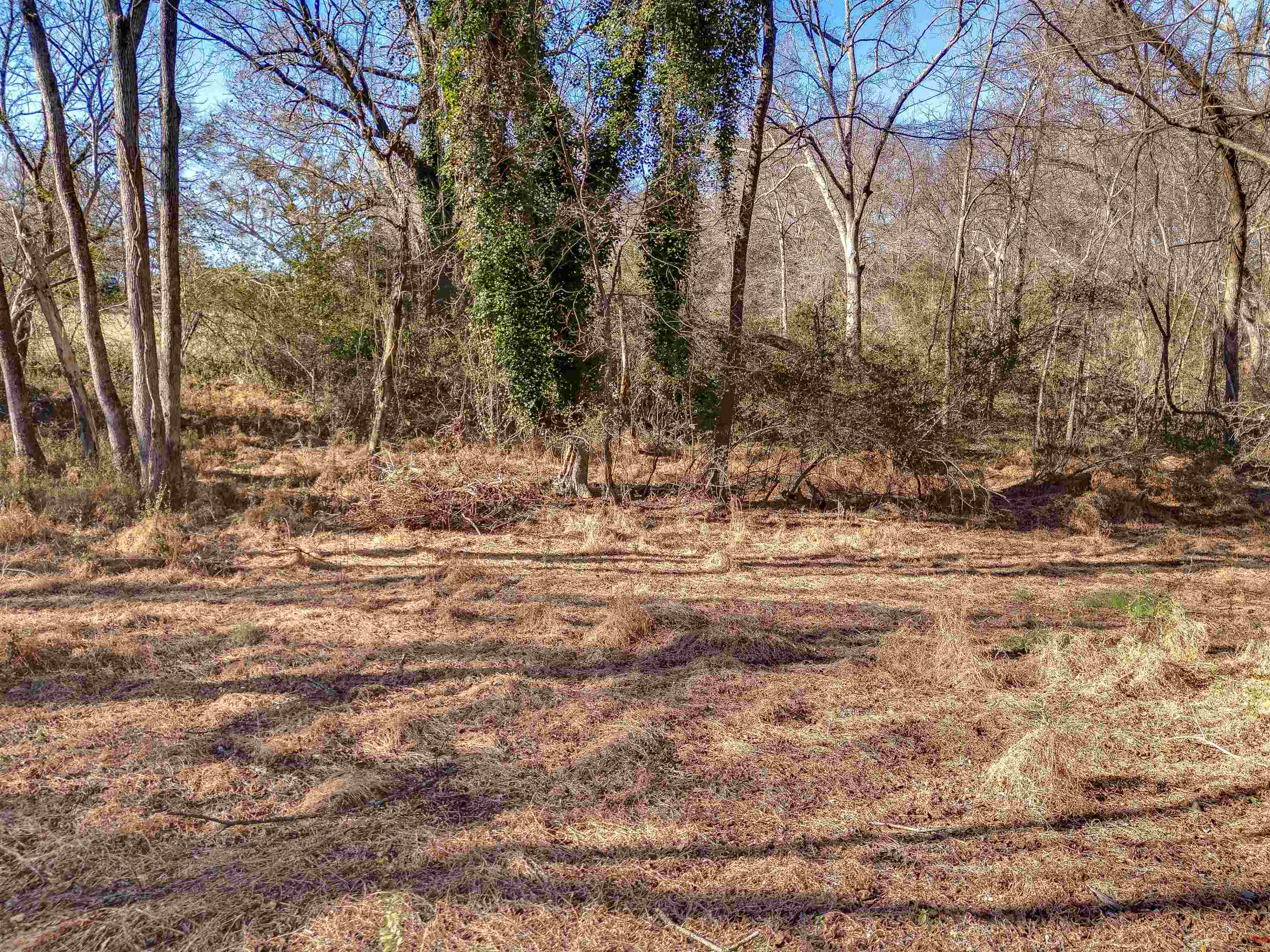 142 McGill Street Pacolet, SC 29372 - Photo 12 of 26