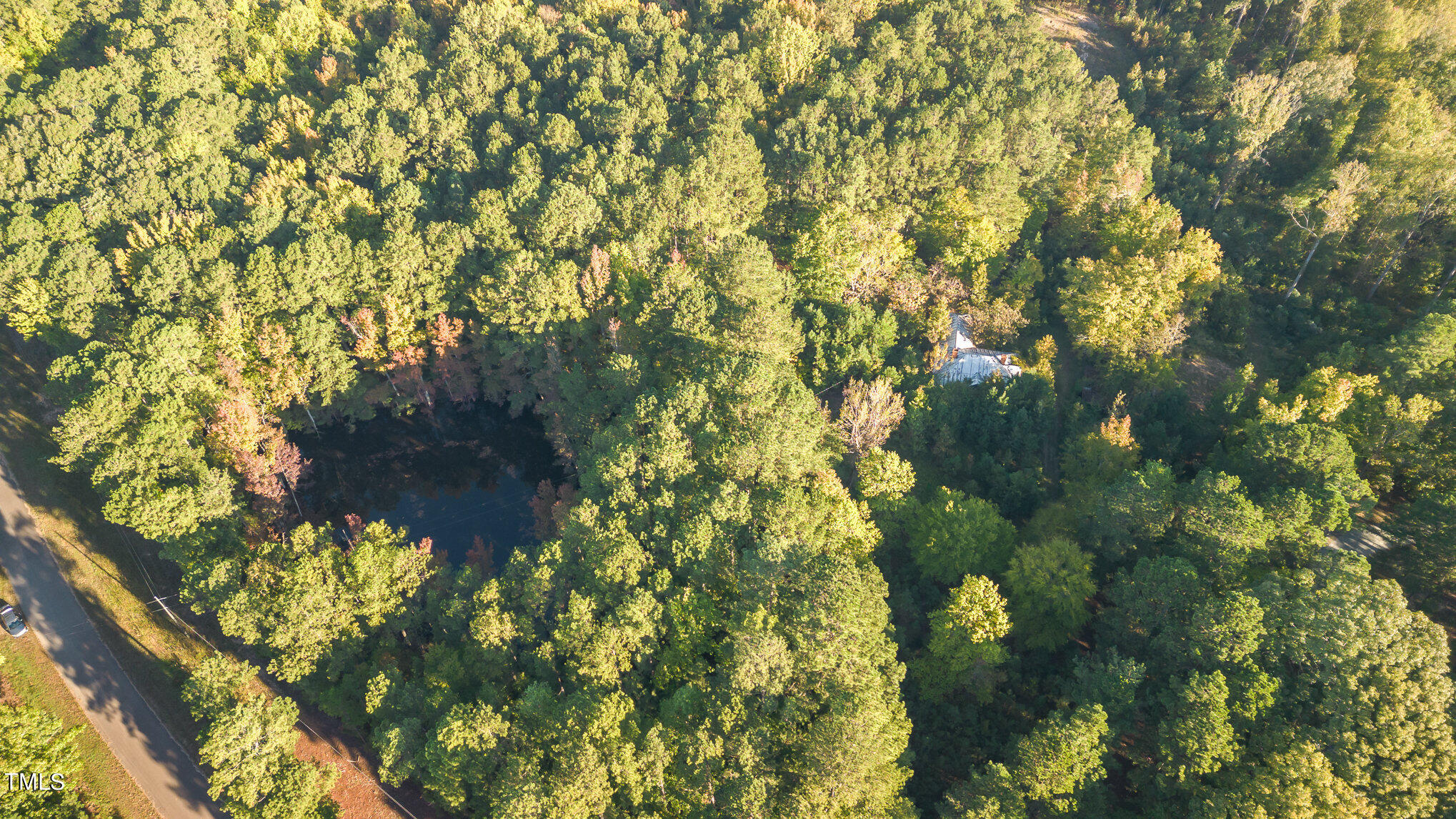 590 Truth Road New Hill, NC 27562 - Photo 6 of 11 a view of a tree