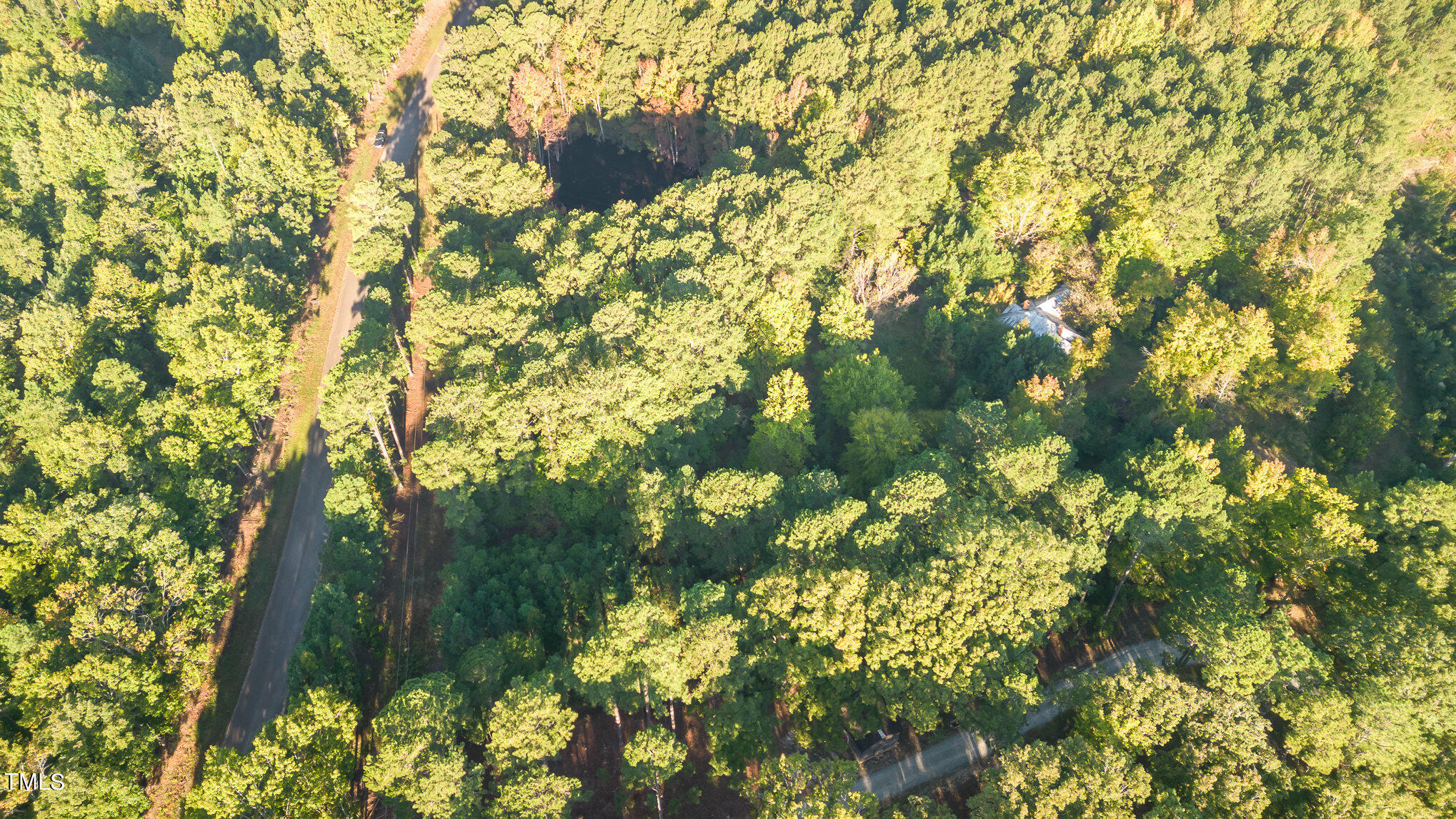590 Truth Road New Hill, NC 27562 - Photo 7 of 11 a backyard of a house with lots of trees