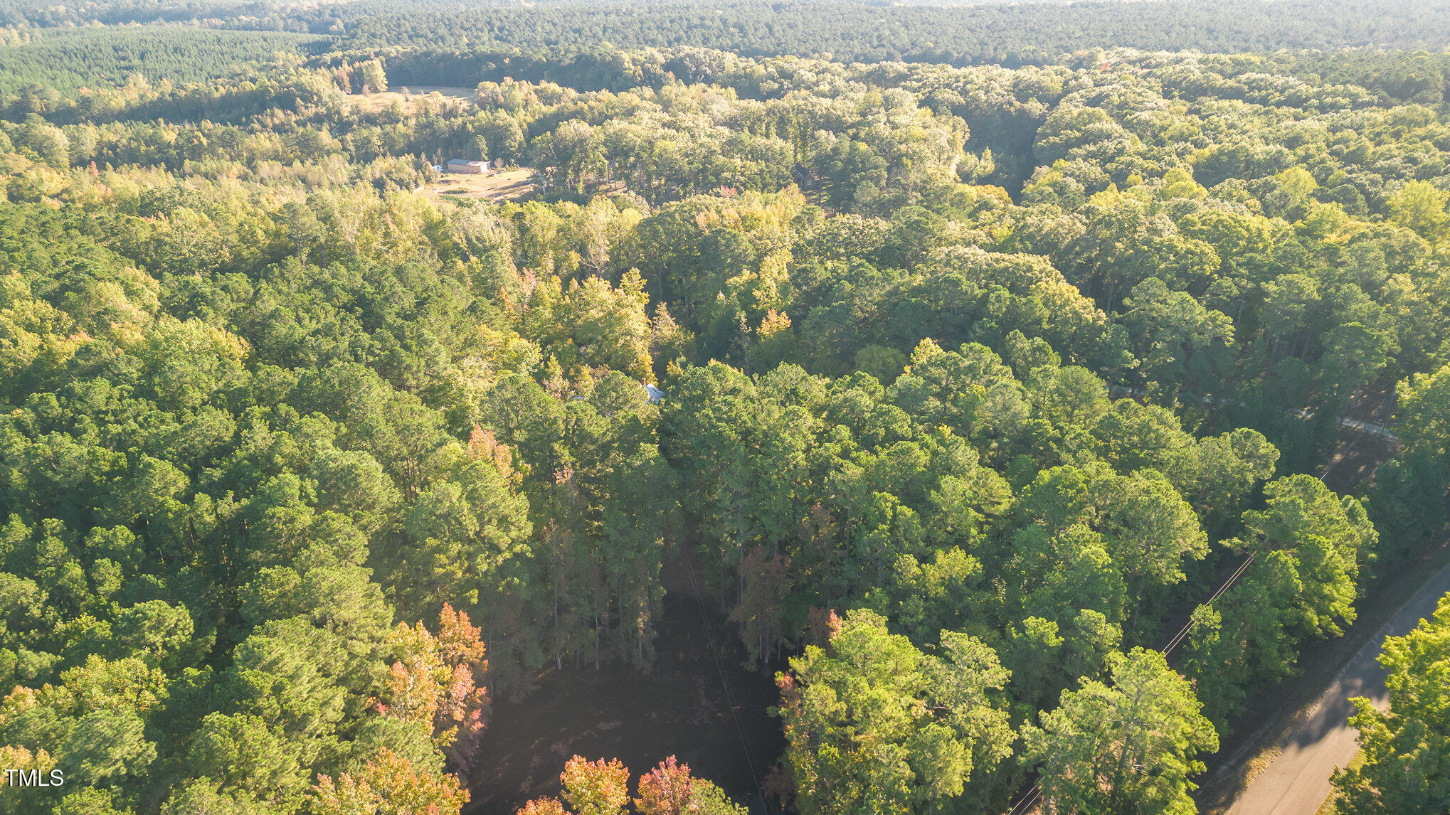 590 Truth Road New Hill, NC 27562 - Photo 10 of 11 a view of a yard