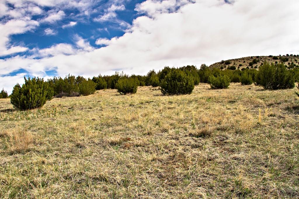 Tbd Garrett Road Beulah, CO 81023 - Photo 32 of 42 Gallery Image 32