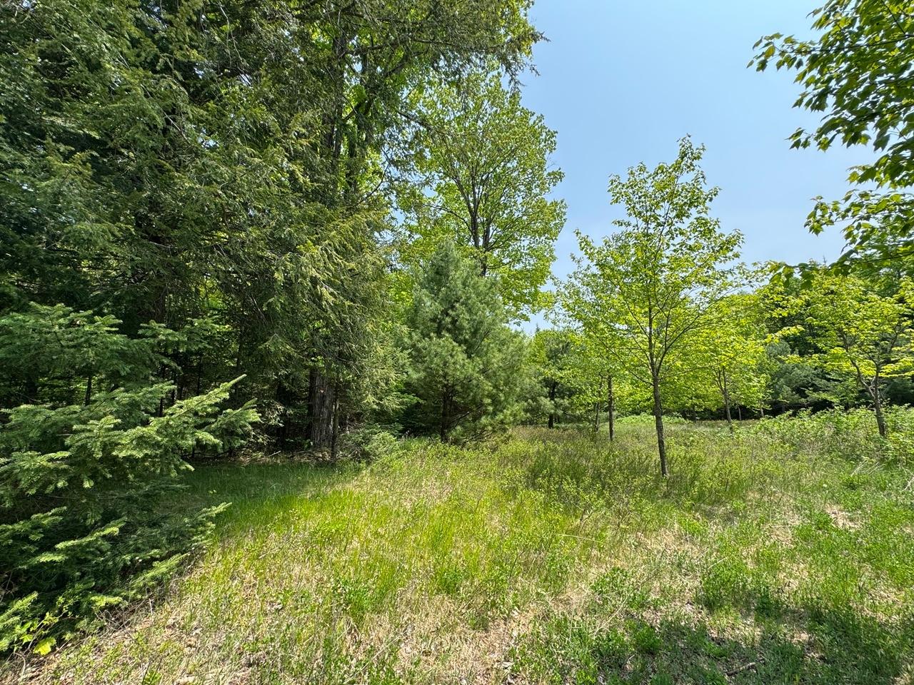 8677 North Davis Road Mercer, WI 54547 - Photo 39 of 51 Gallery Image 39