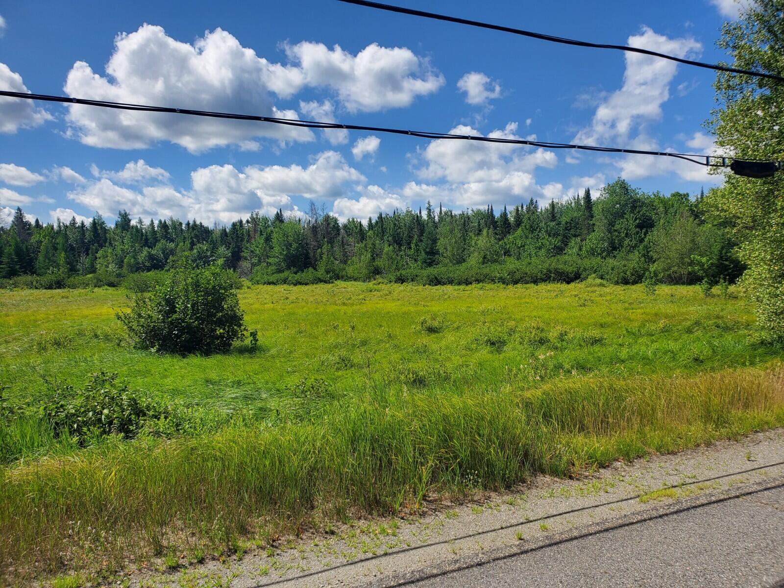 225-ac South Princeton Road Princeton, ME 04668 - Photo 1 of 7 20220722_104737