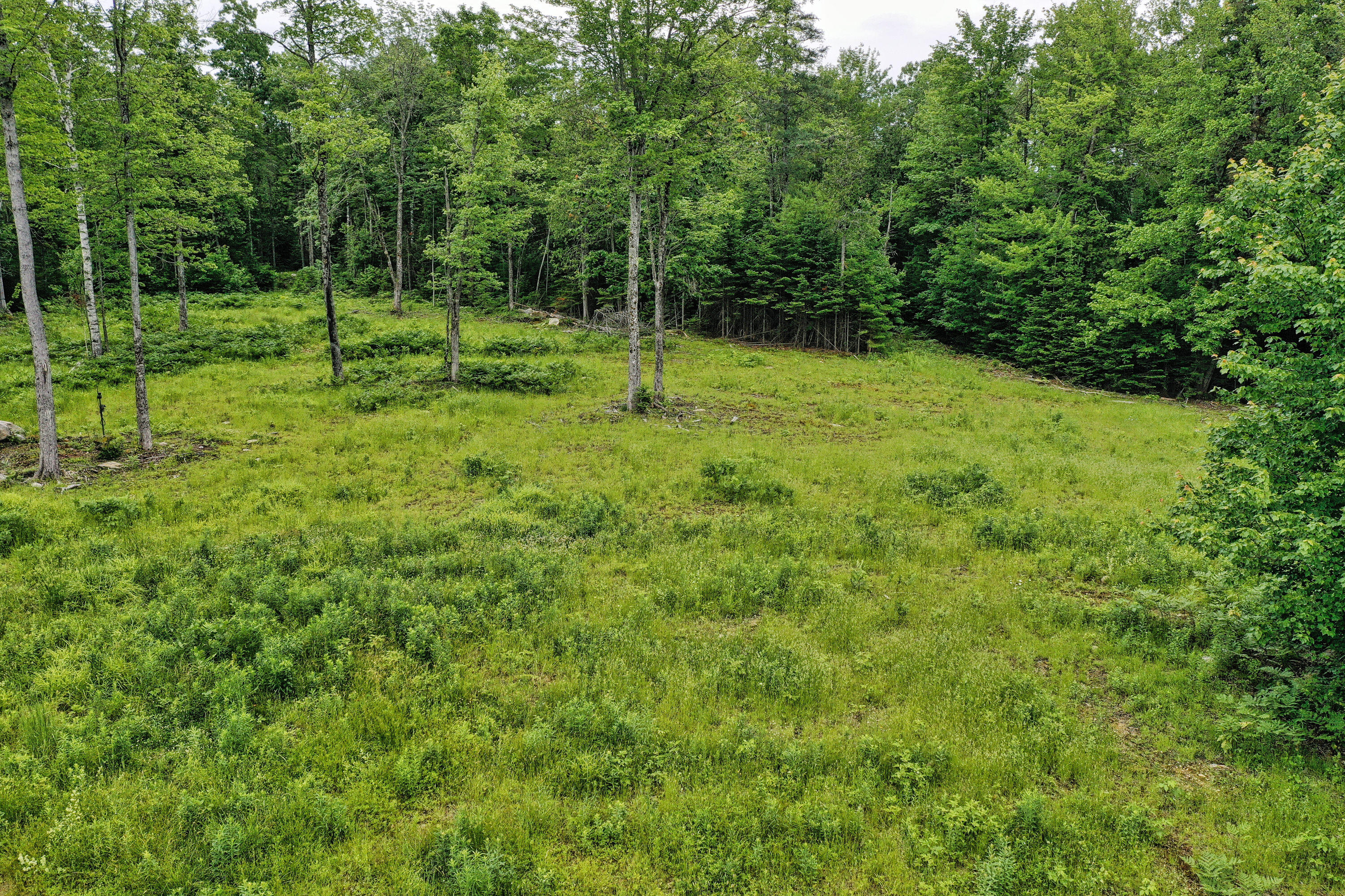 Lot 12 South Road Dixmont, ME 04932 - Photo 23 of 34 Cleared Area