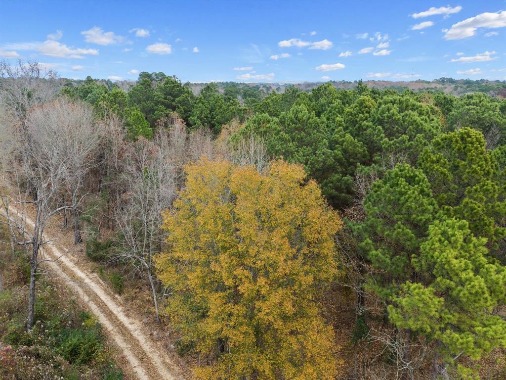 0 Ward Marshall, TX 75670 - Photo 2 of 6 a view of a lake from a balcony