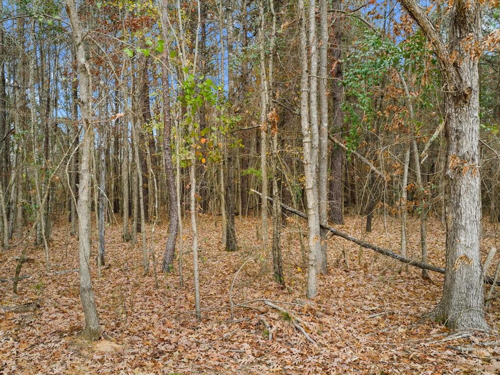 0 Ward Marshall, TX 75670 - Photo 6 of 6 a bathroom with a shower