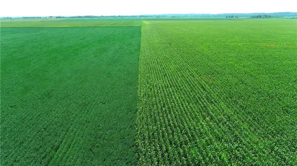 $1,163,750 | 2 Amber Drive, Craig, MO 64437