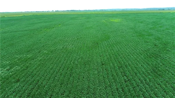 $1,163,750 | 2 Amber Drive, Craig, MO 64437