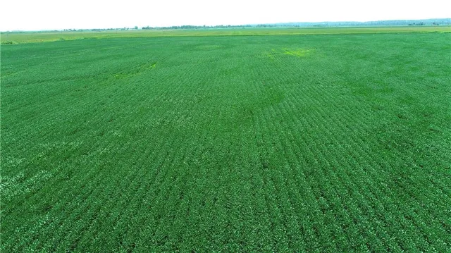 $1,163,750 | 2 Amber Drive, Craig, MO 64437