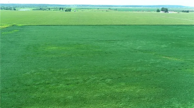 $1,163,750 | 2 Amber Drive, Craig, MO 64437