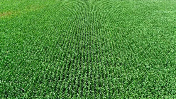 $1,163,750 | 2 Amber Drive, Craig, MO 64437