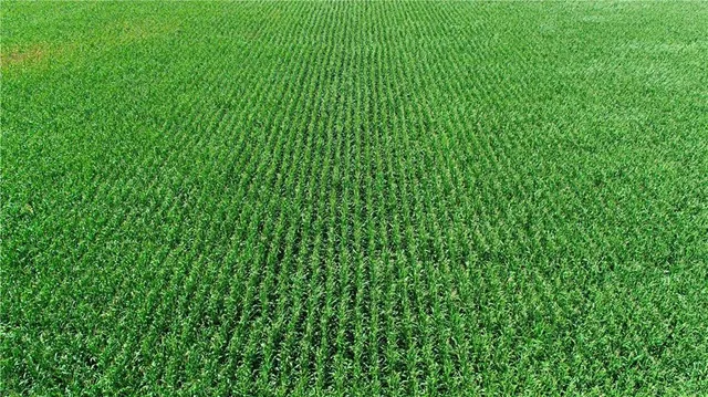 $1,163,750 | 2 Amber Drive, Craig, MO 64437