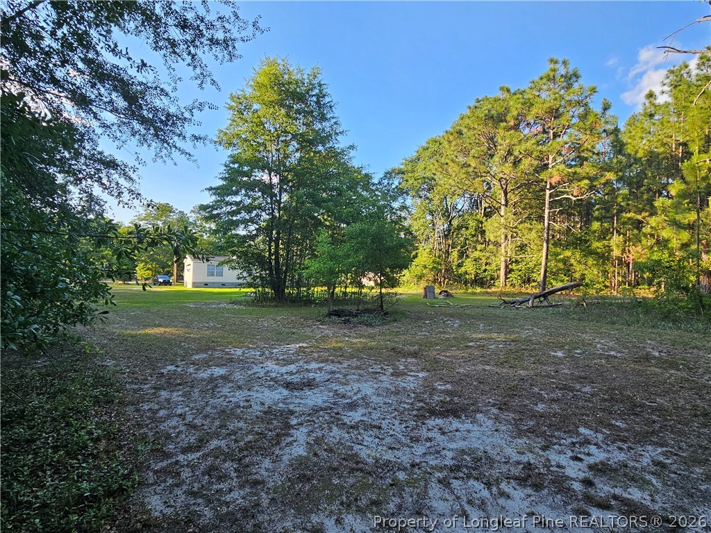 18420 Quicktown Road Hamlet, NC 28345 - Photo 37 of 40