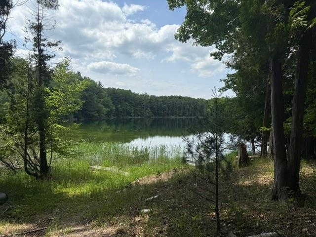 16568 Wagner Road Lake Ann, MI 49650 - Photo 29 of 79 1947392-d1a18a7f-05cc-49cf-92a6-b89097509901.JPG