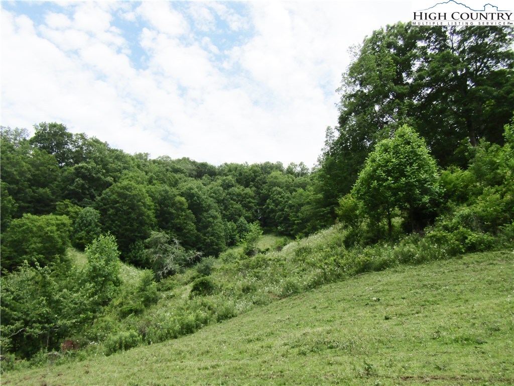 131 Sutherland Road Creston, NC 28615 - Photo 10 of 19 Gallery Image 10