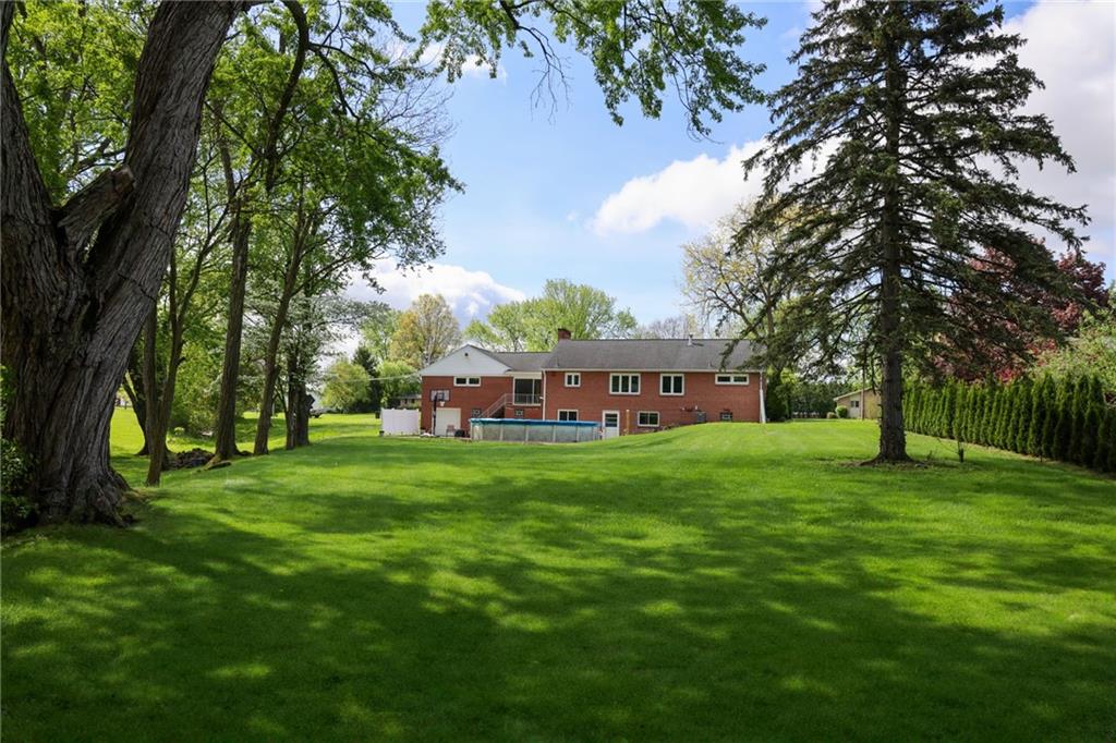 3689 Ridgewood Drive Hermitage, PA 16148 - Photo 45 of 49 a view of a big yard with palm trees