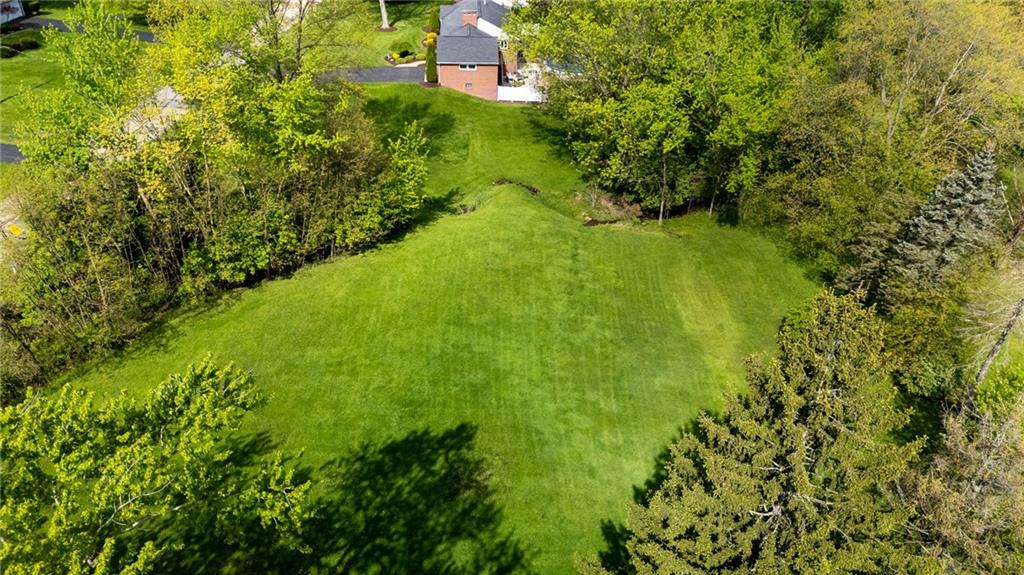 3689 Ridgewood Drive Hermitage, PA 16148 - Photo 47 of 49 a view of a big yard with large trees