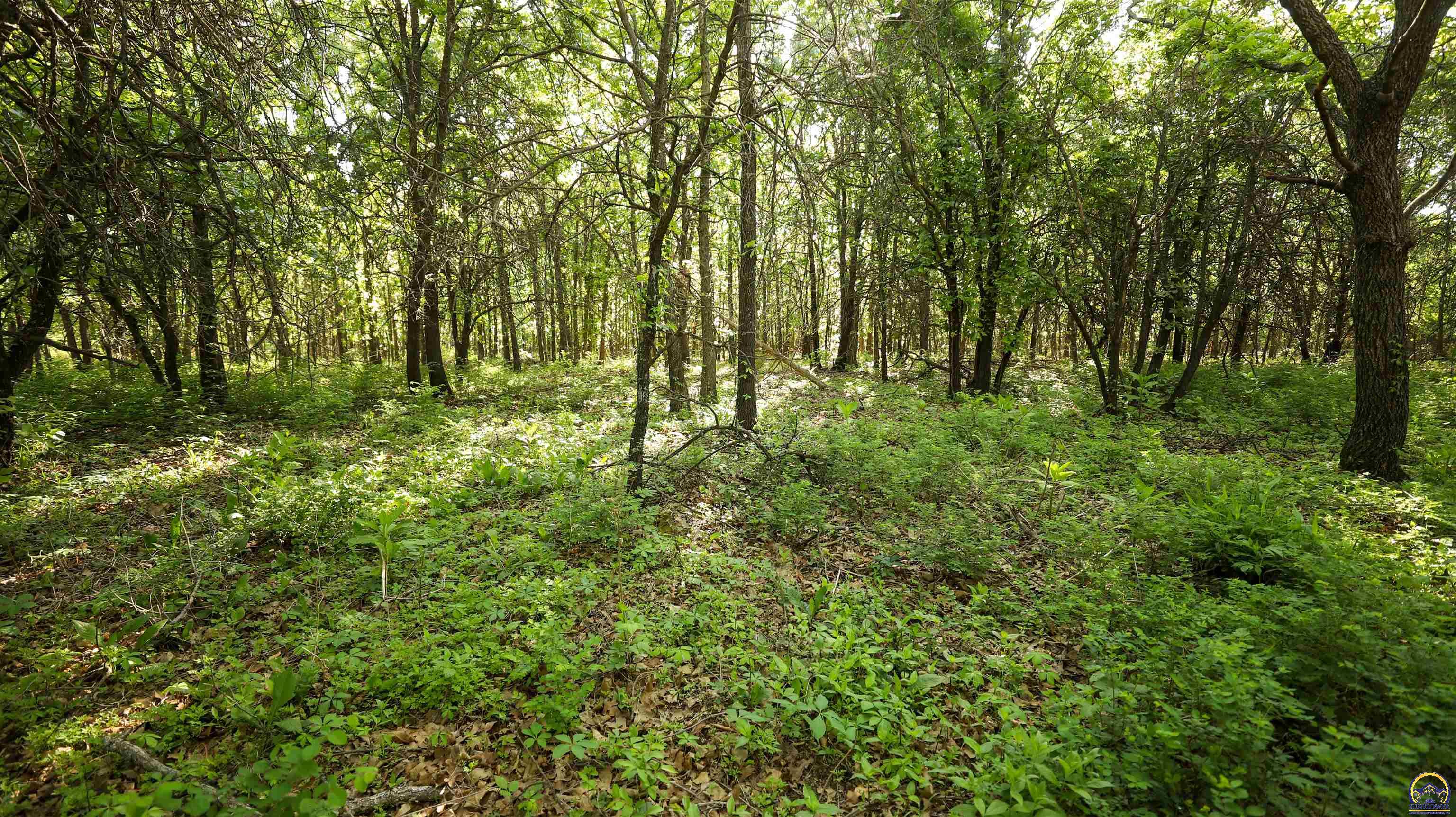 377 Julep Road Yates Center, KS 66783 - Photo 63 of 87 Gallery Image 63