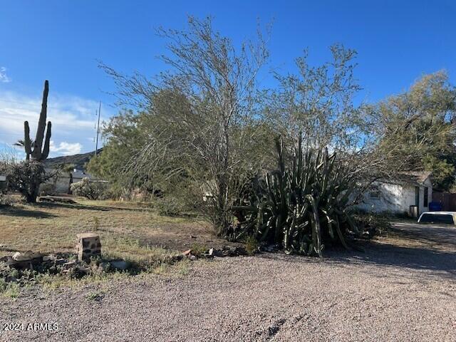 1004 East Mountain View Road Phoenix, AZ 85020 - Photo 3 of 3 4