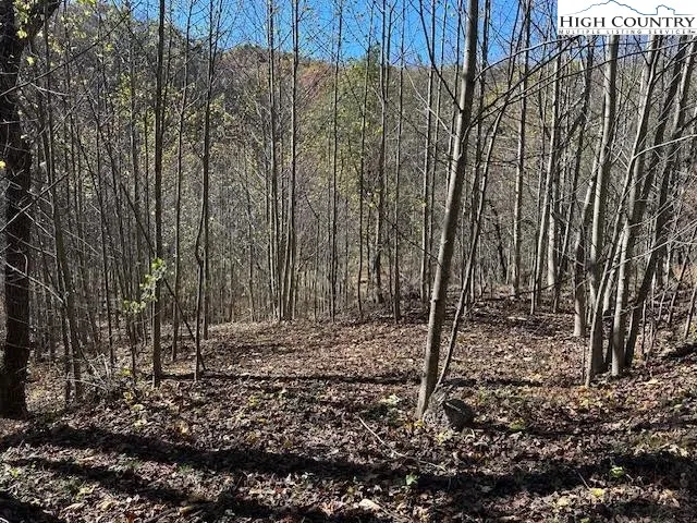 a view of a backyard of the house