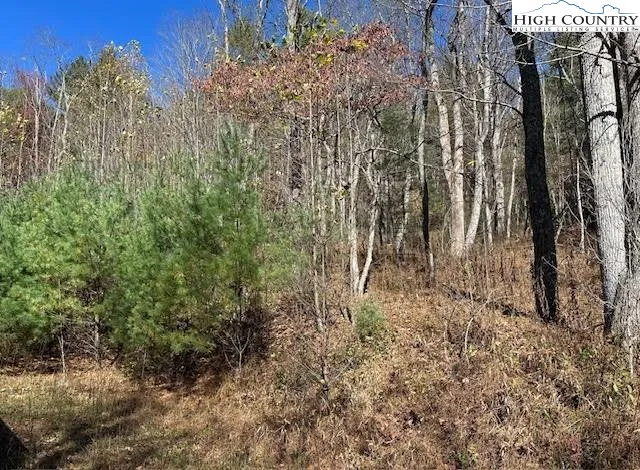 a view of small yard