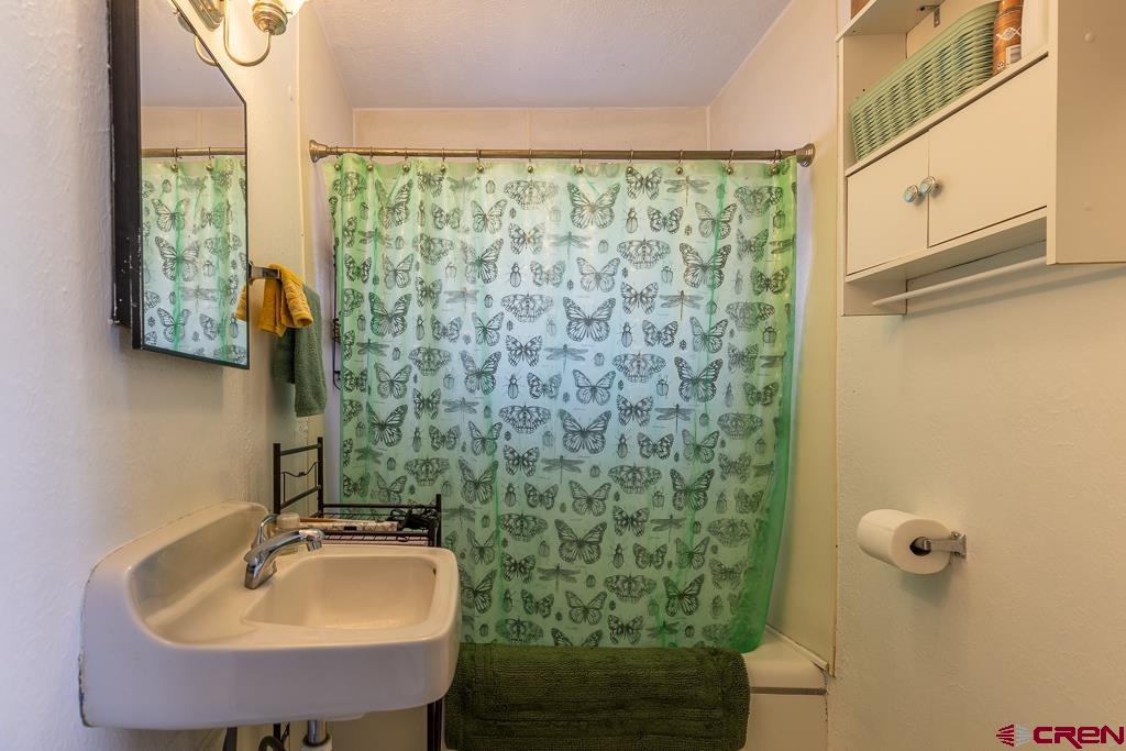3533 Main Avenue Durango, CO 81301 - Photo 13 of 19 a bathroom with a sink and a mirror