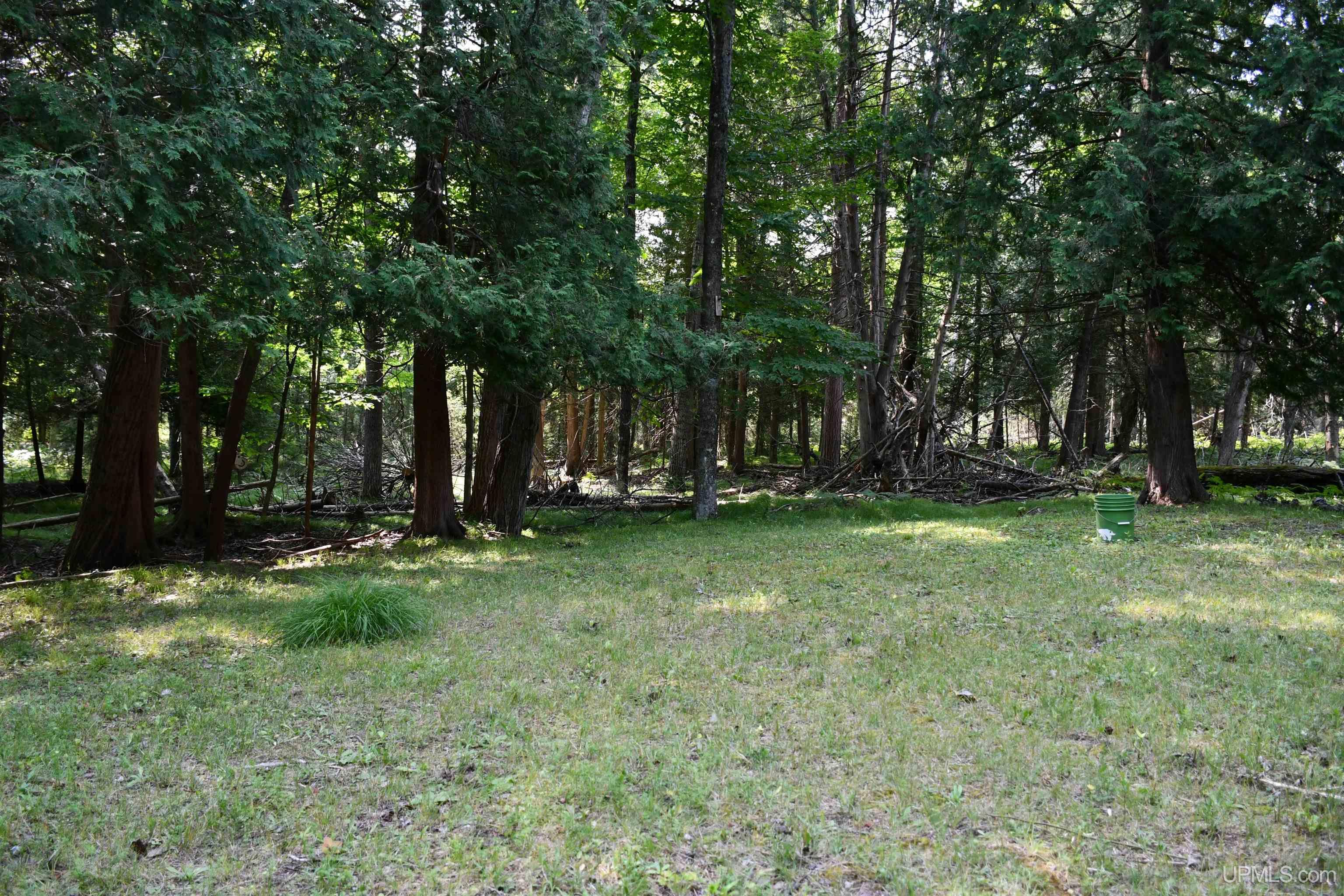 N11370 Cr 577 Road Daggett, MI 49821 - Photo 17 of 38