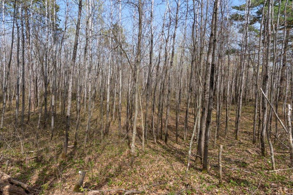 9382 County Road 8 Brainerd, MN 56401 - Photo 100 of 108