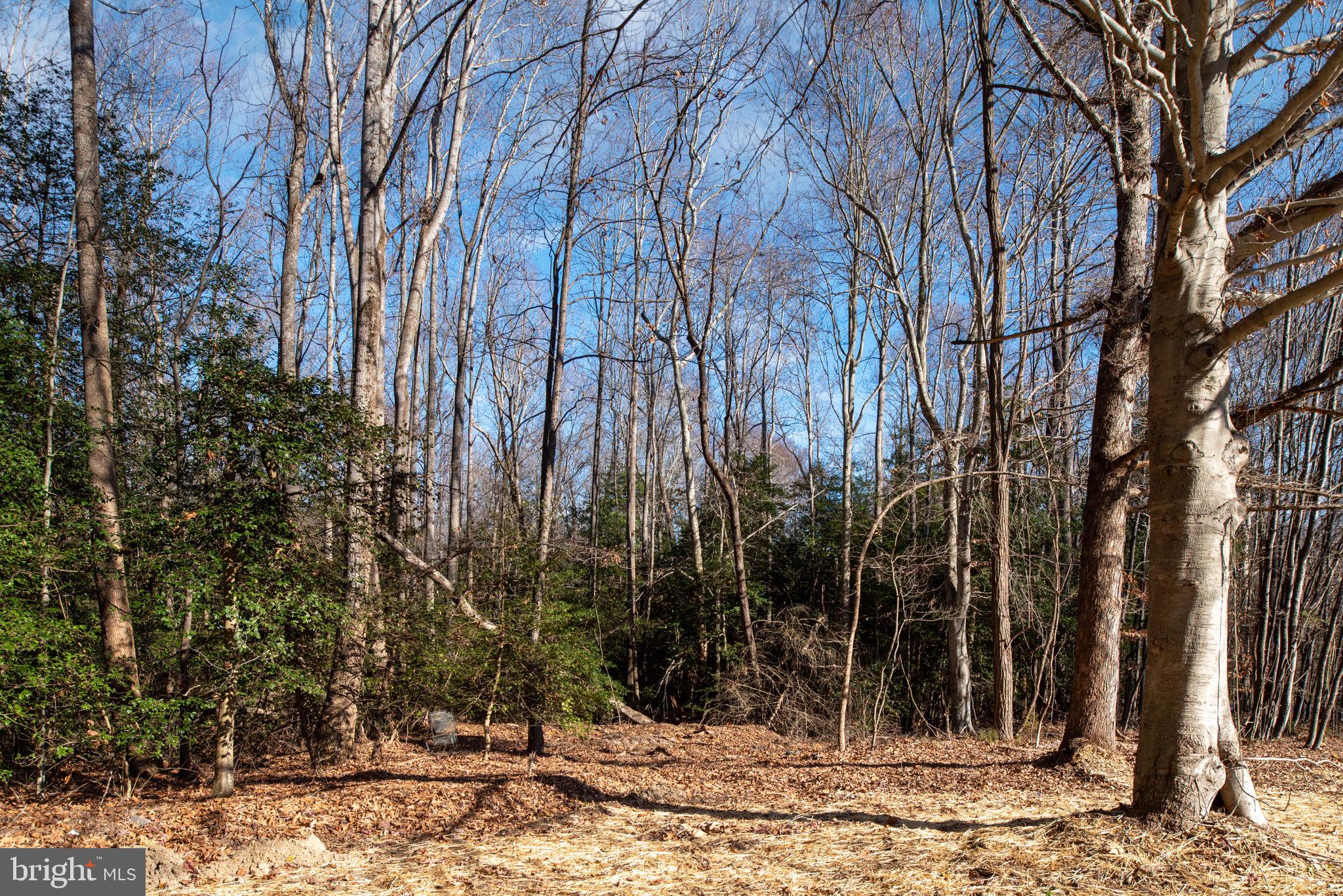 10264 Rte 717 King George, VA 22485 - Photo 82 of 86