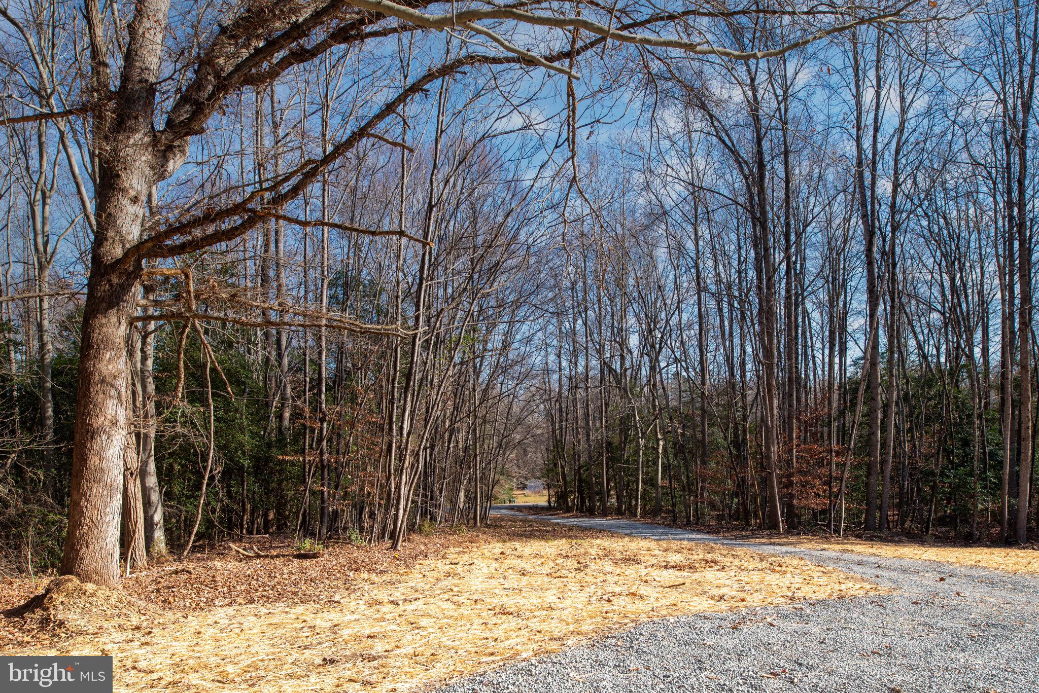 10264 Rte 717 King George, VA 22485 - Photo 84 of 86