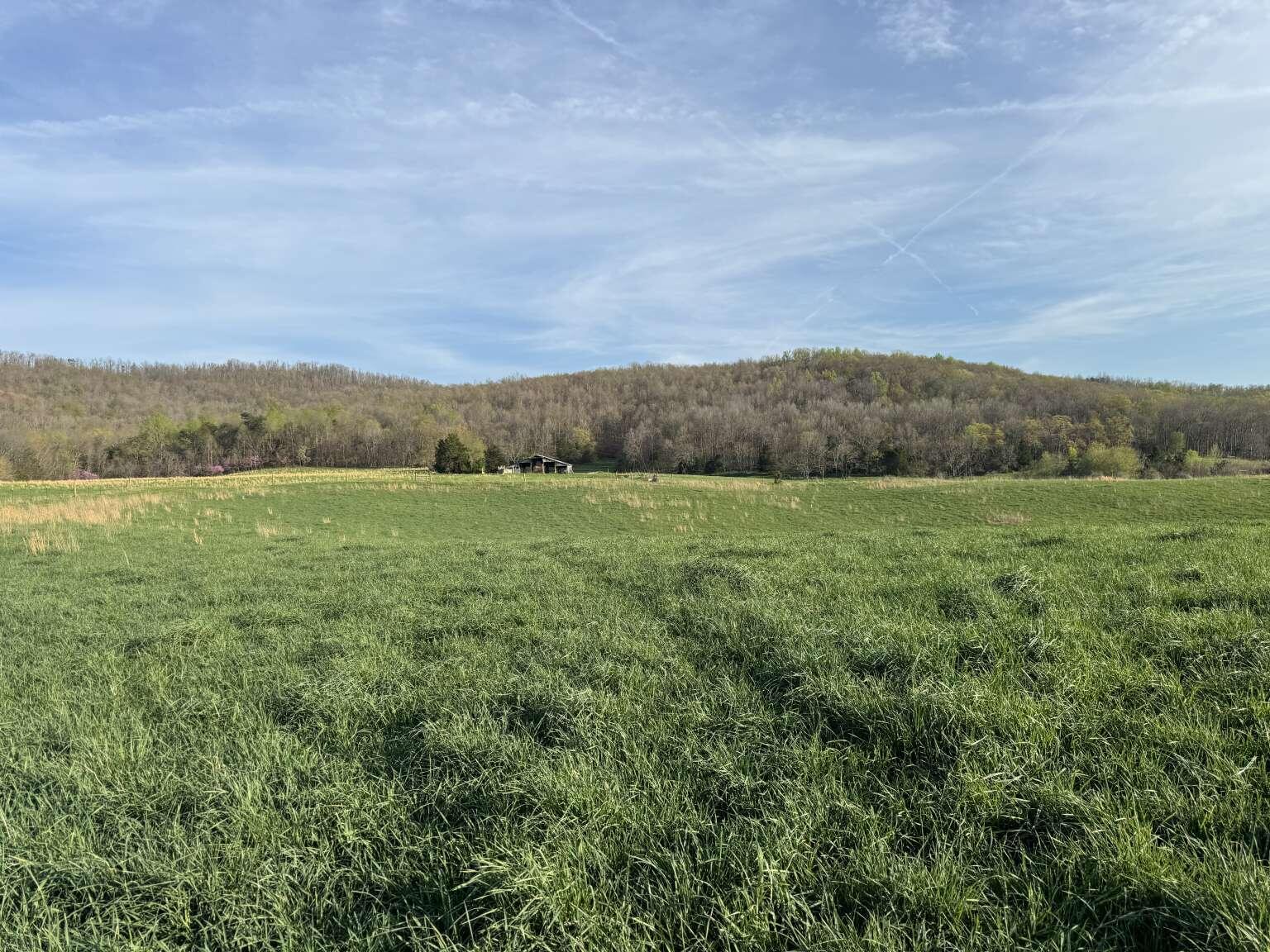 11111 Simpson Branch Road Monticello, KY 42633 - Photo 6 of 6 Purvis.6