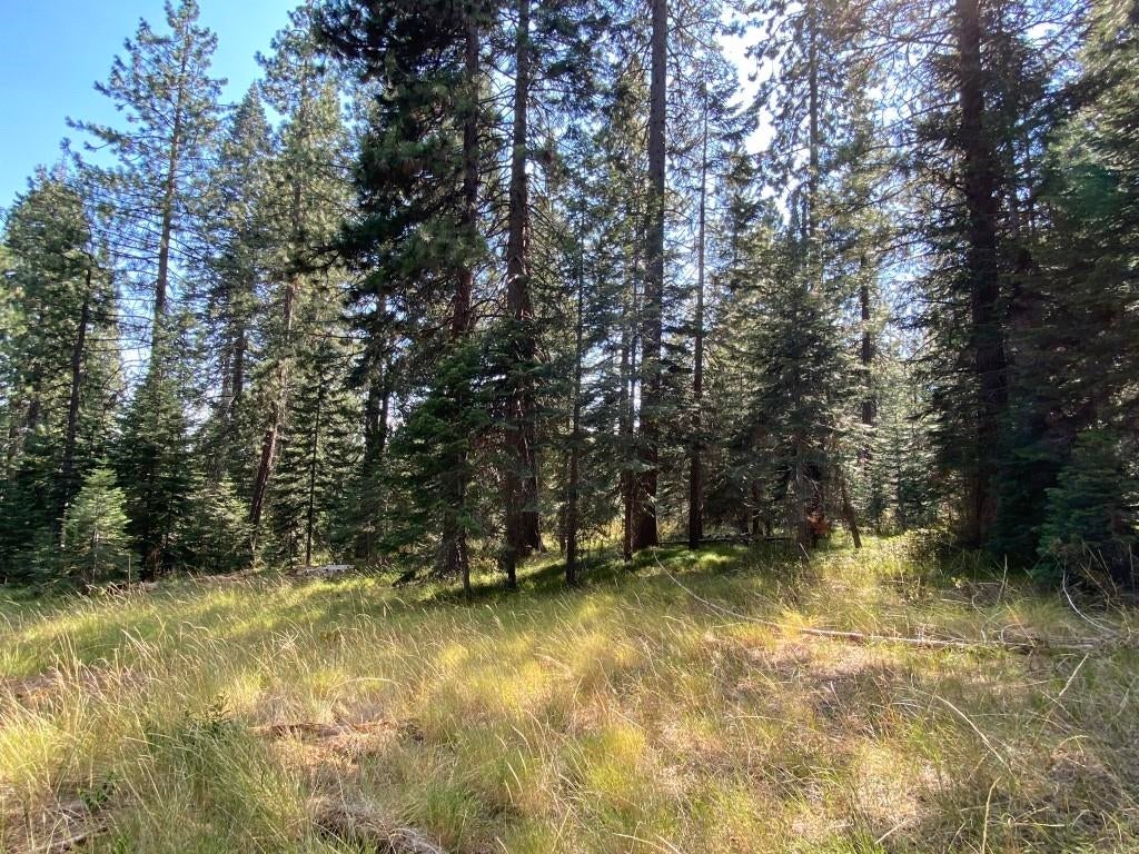 3-e-48 Red Fir Road McCloud, CA 96057 - Photo 13 of 15 Gallery Image 13