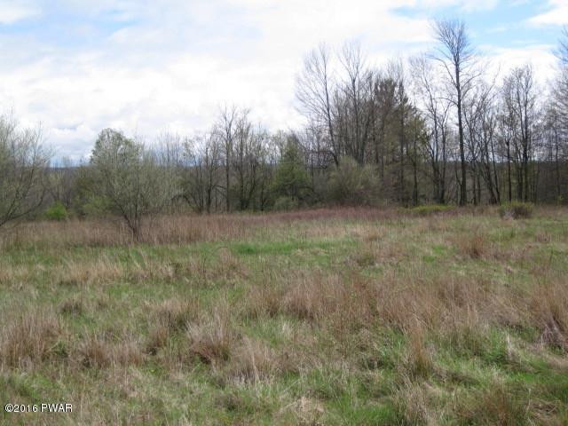 Everly Rd Lake Lake Ariel, PA 18436 - Photo 2 of 4