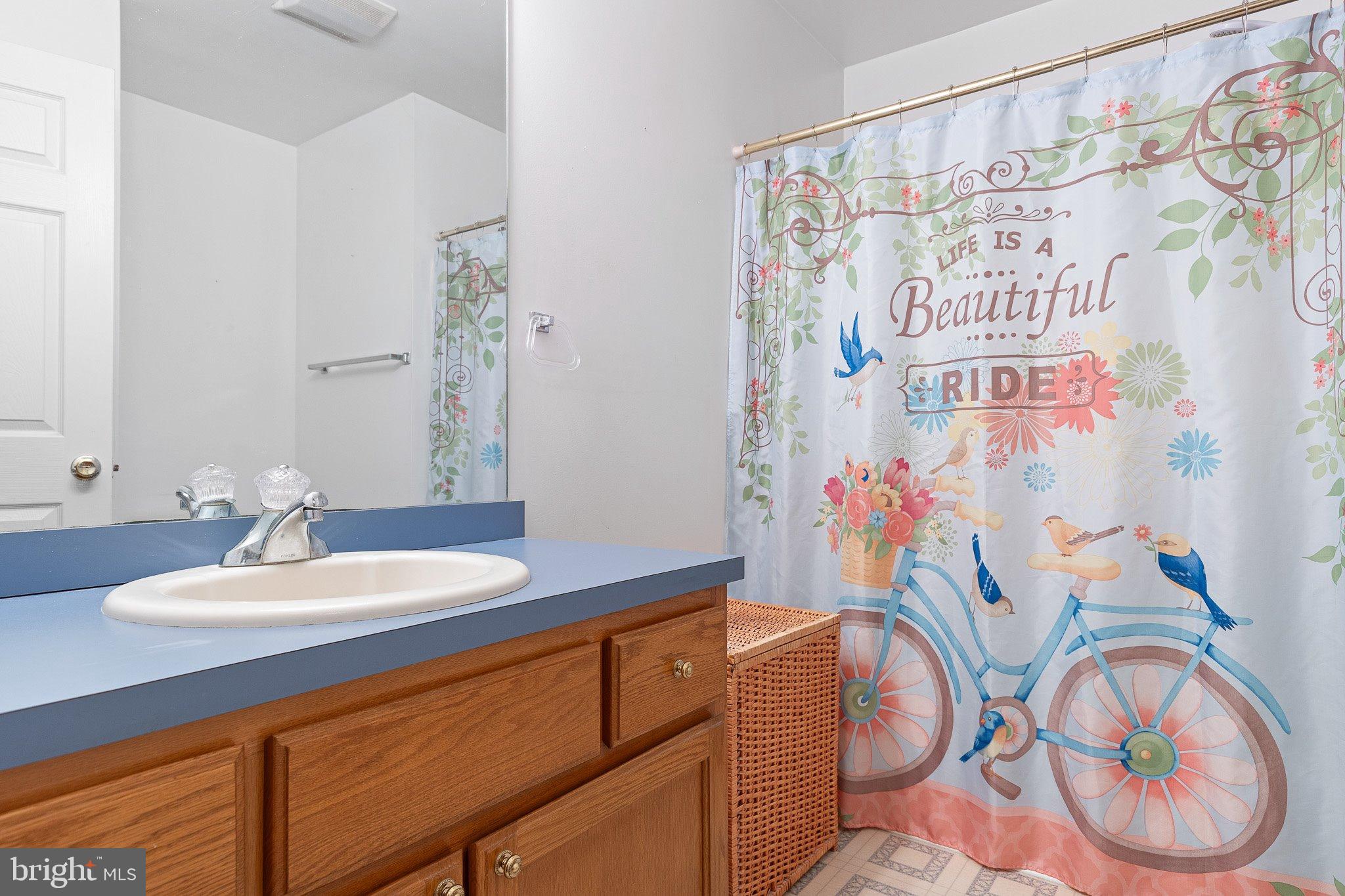 33 Blue Jay Street Elkton, MD 21921 - Photo 19 of 26 Full bath #3